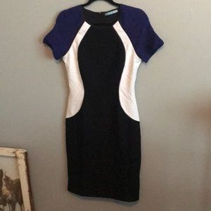 Antonio Melani Color Block dress